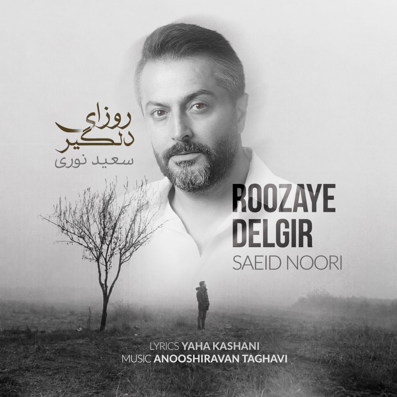 دانلود آهنگ سعید نوری روزای دلگیر دانلود آهنگ سعید نوری روزای دلگیر